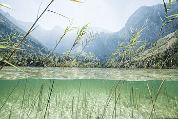 Langbathsee in Ebensee, (c) Oberoesterreich Tourismus Gmbh, Robert Maybach