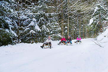 Rodeln auf der Naturrodelbahn Hochsteinalm, (c) www.traunseehotels.at