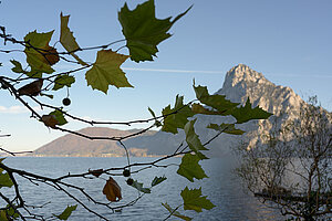 Blick auf den See