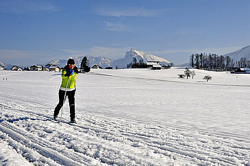 Langlaufen am Traunsee, (c) TVB Traunsee-Almtal/brainpark.traunsee