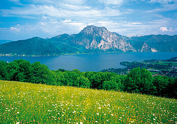 Blick auf den Traunsee und Traunstein, (c) Oberösterreich Tourismus GmbH, Popp