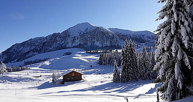 Sonnige Aussichten auf der Postalm