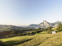 Wandern am Traunsee