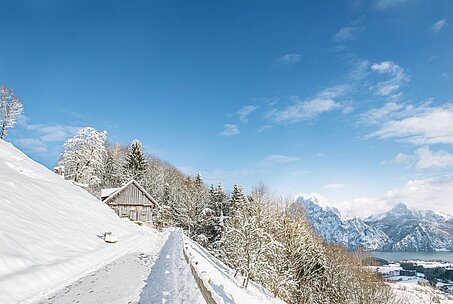 [Translate to Englisch:] Relax on a hike through the snowy landscape