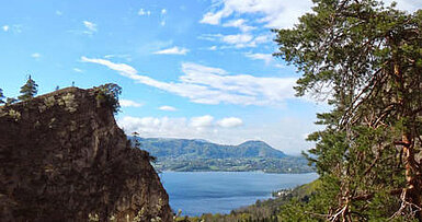 Kaltenbachwildnis, © Lisa Loderbauer, MTV Ferienregion Traunsee 