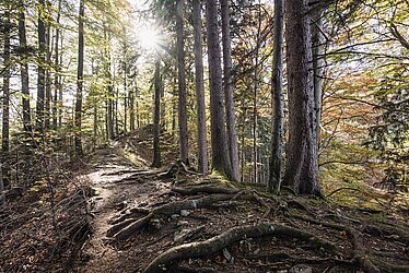 Hiking on mountain Baalstein