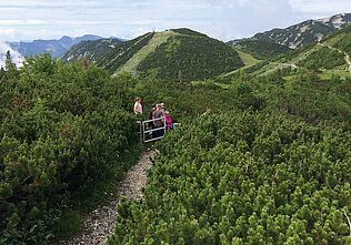 Latschenlabyrinth, (c) Traunsee Touristik GmbH