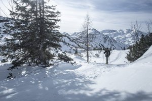 Schneeschuhwanderung in der Traunsee Region