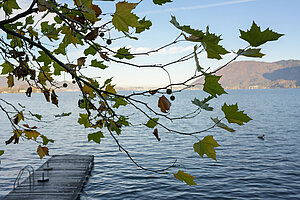 Blick auf den See