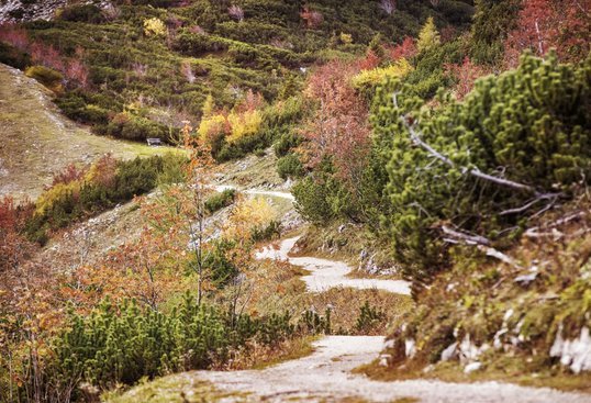 Autumn hikes on mountain "Feuerkogel"