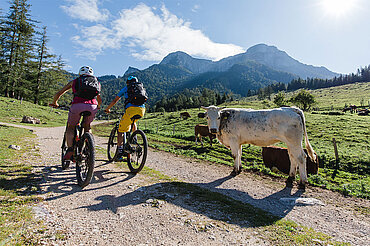 E-Biken im Salzkammergut, © Salzkammergut/Katrin Kerschbaumer