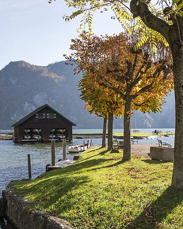 Herbst in Traunkirchen