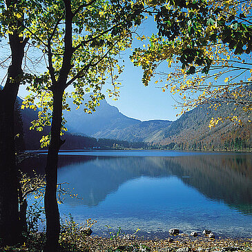 Frühlingsstimmung am Langbathsee, (c) Oberösterreich Tourismus GmbH_Brigitte Schwager