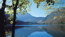 Frühlingsstimmung am Langbathsee, (c) Oberösterreich Tourismus GmbH_Brigitte Schwager