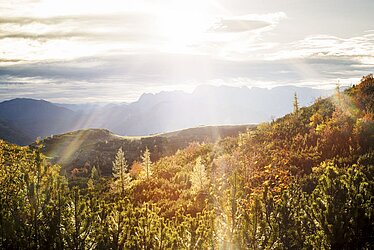 Hiking on "Feuerkogel" mountain