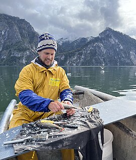 Benjamin beim entschuppen der Fische