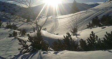 Traumhafte Winterlandschaften genießen