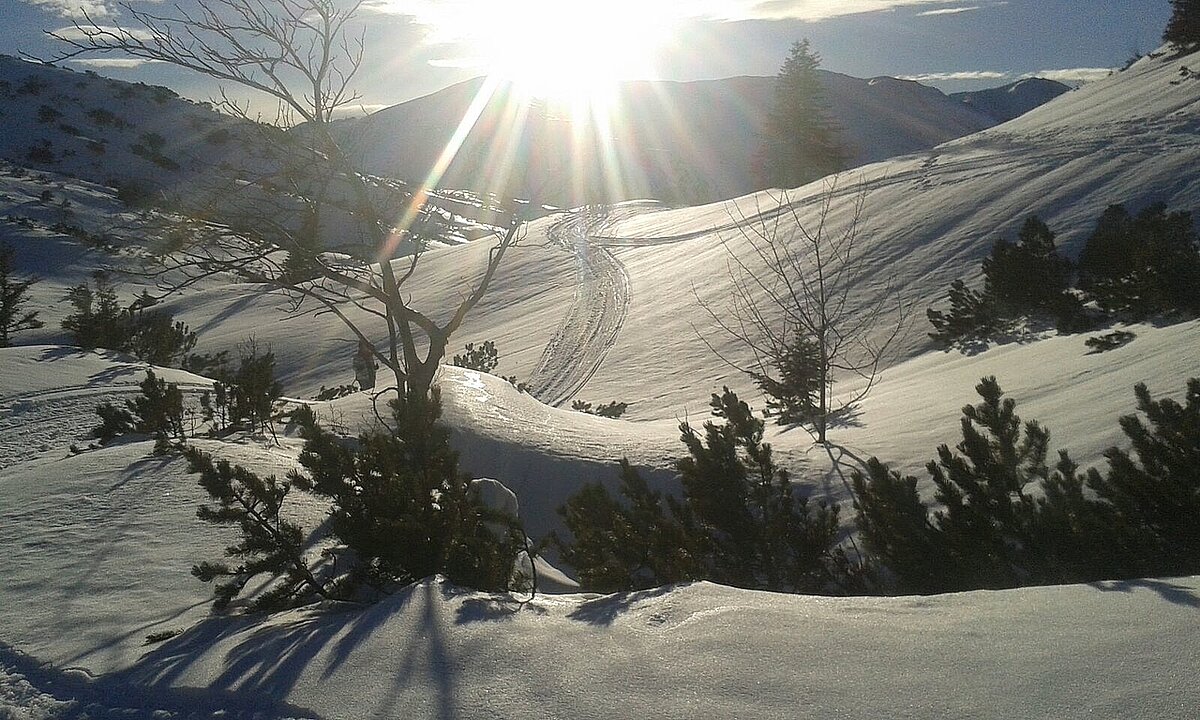 Traumhafte Winterlandschaften genießen