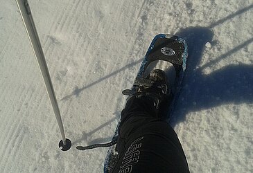 Schneeschuhwandern am Feuerkogel